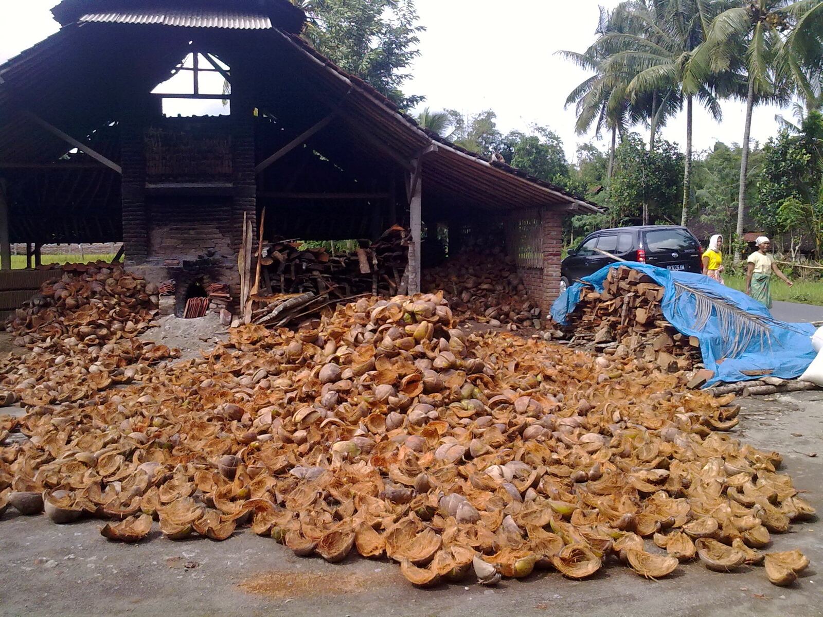 Coconut Shell Charcoal export from Indonesia